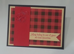 Embossed Lady Bug Card